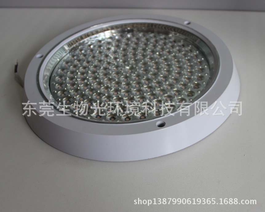 QQ图片20140424130401 圆