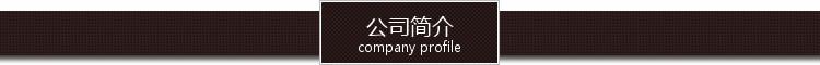公司简介_副本