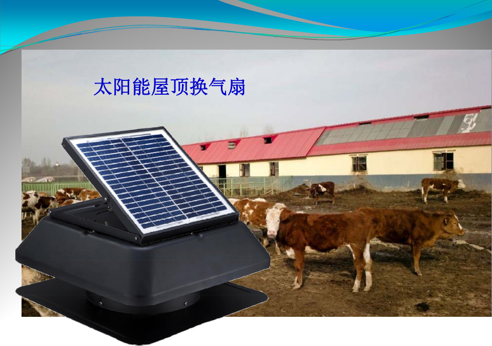 QQ图片20151125135453