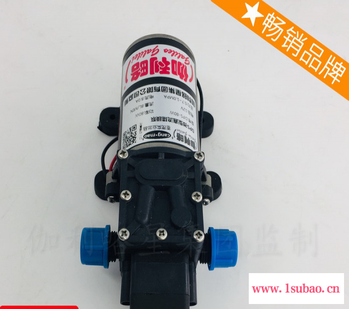 更换洗衣机排膈膜30w高压24v吸小型微型水泵洗车隔膜图5