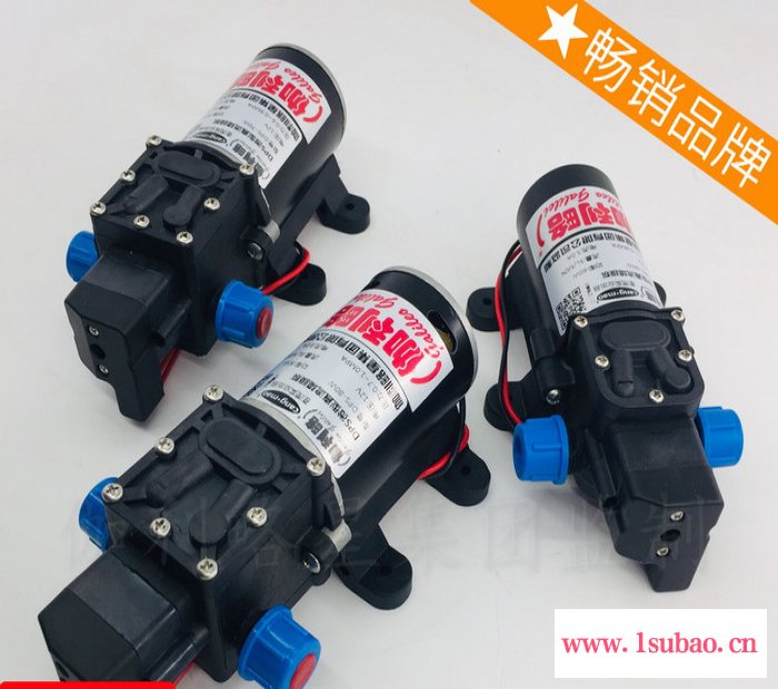 更换洗衣机排膈膜30w高压24v吸小型微型水泵洗车隔膜图6
