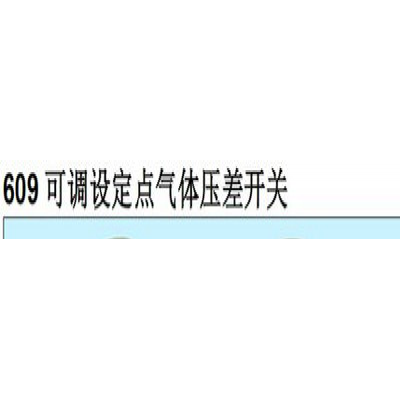 国产TEREN天润609.000 609.010 609.020 609.030 609.100空气风压微压差开关