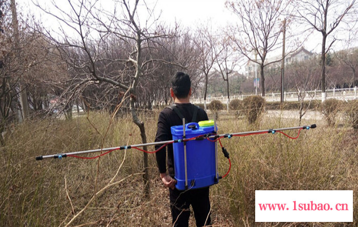 小型支架式电动喷雾器 双泵双开关农用打药机 背负式电动打药机图8