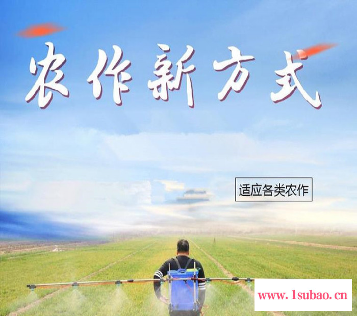 小型支架式电动喷雾器 双泵双开关农用打药机 背负式电动打药机图2