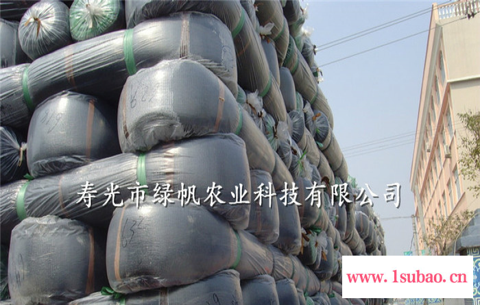 供应农用遮阳网  遮阴网 大棚防晒网 工程防护网 工程防尘网图4