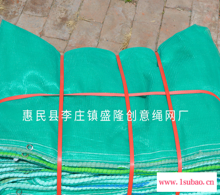 盛隆 专业生产 安全网 建筑安全网 防尘网建筑工地安全网 绿色建筑工地安全防尘网图4