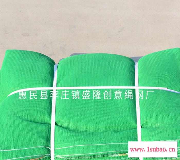 盛隆 专业生产 安全网 建筑安全网 防尘网建筑工地安全网 绿色建筑工地安全防尘网图2