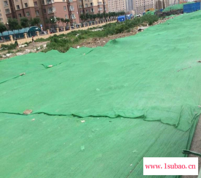 农用遮光网 亮朝 销售价格 盖土防尘网 建筑工地盖土遮阳网 大轴盖土网图3