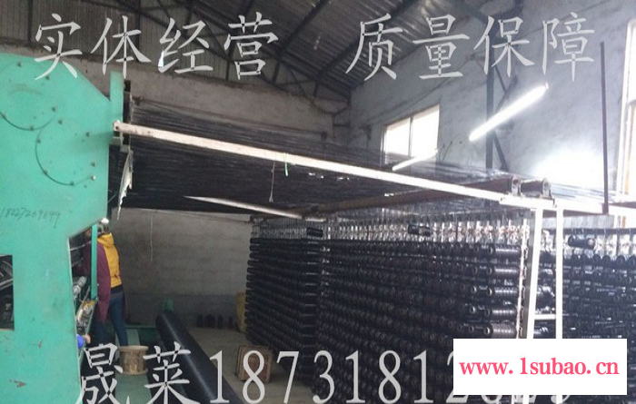晟莱** **绿色工地用安全网 该没网 盖土网 防尘网图2