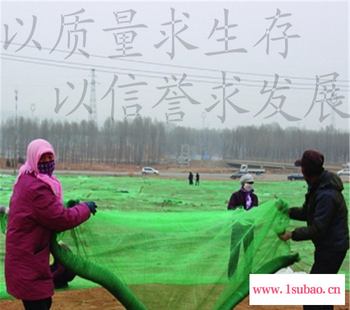 晟莱** **绿色工地用安全网 该没网 盖土网 防尘网图5