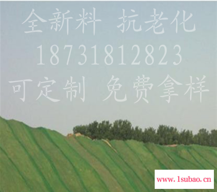 晟莱** **绿色工地用安全网 该没网 盖土网 防尘网图4