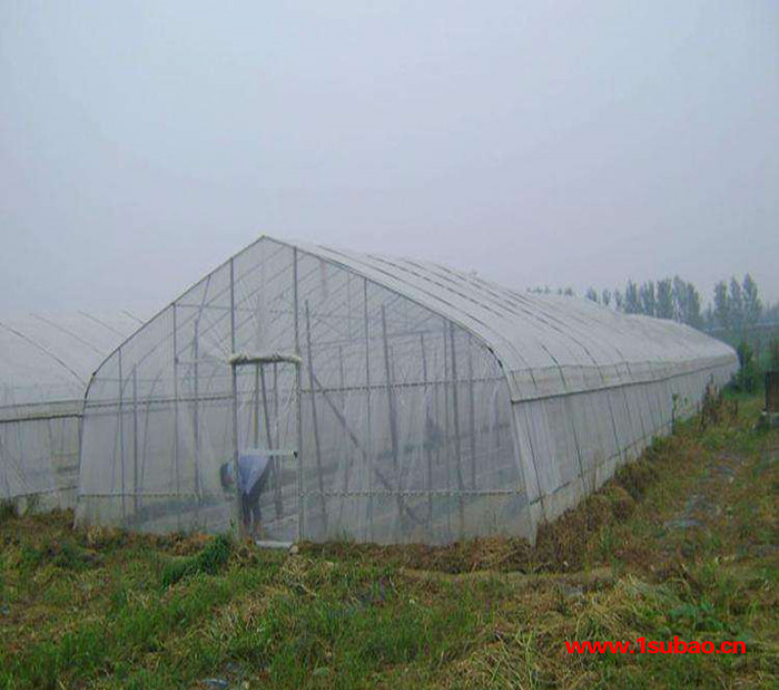 铭湾 防虫网  加厚防虫网 蔬菜防虫网 20目防虫网 河北防虫网图2