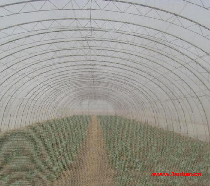 20目防虫网  防虫网 加厚防虫网 新型防虫网 农业防虫网图3