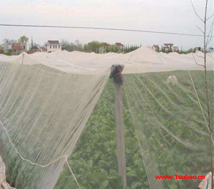 铭湾 防虫网  农用防虫网 耐老化40目防虫网 40目防虫网 防虫网厂家图3