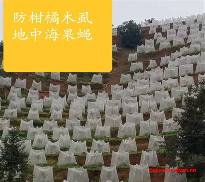 防虫网 防虫网厂家 防虫网价格 防虫网生产厂家 防虫网生产商 批发价图5