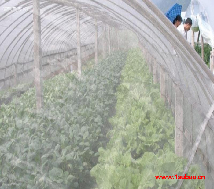 防虫网 防虫网厂家 防虫网价格 防虫网生产厂家 防虫网生产商 批发价图8
