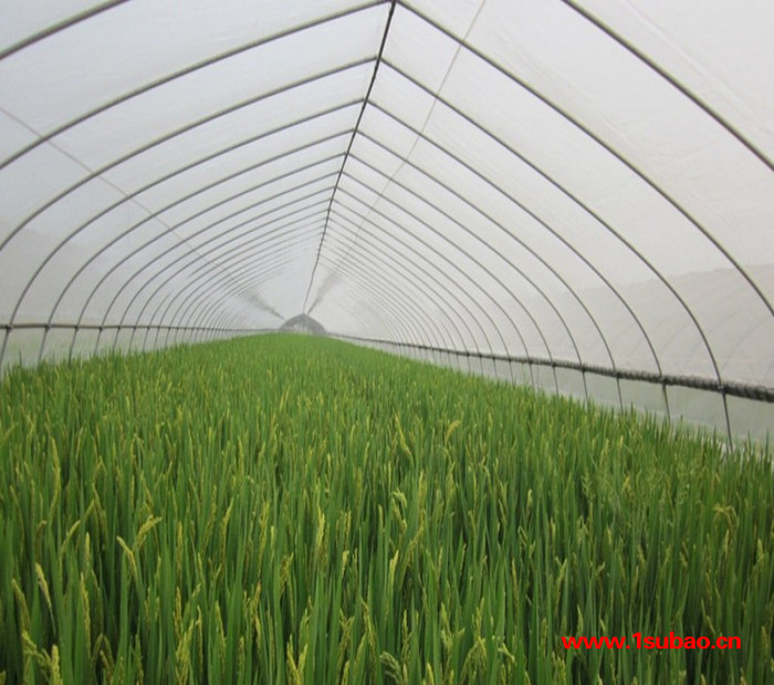 防虫网 防虫网厂家 防虫网价格 防虫网生产厂家 防虫网生产商 批发价图7