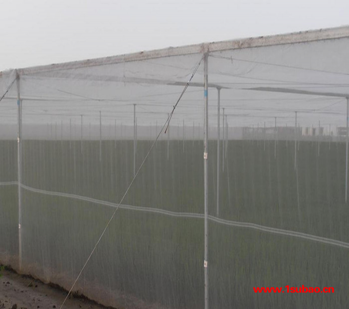 防虫网 防虫网厂家 防虫网价格 防虫网生产厂家 防虫网生产商 批发价图4