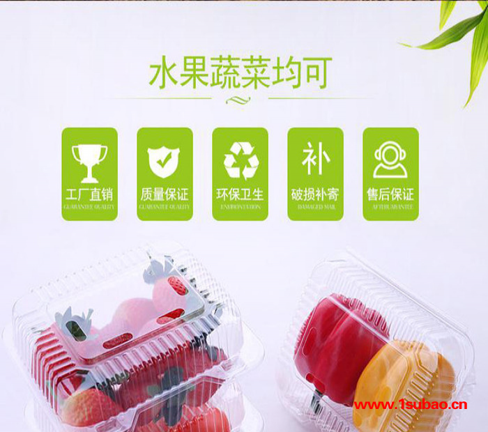【弘迪】 吸塑塑料盒 吸塑蛋糕盒 环保塑料盒 塑料盒厂家 透明环保果蔬盒图3