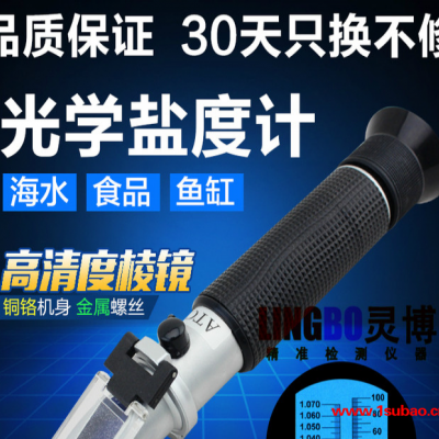 廣州靈博電子鹽度計LBY10/LBY28