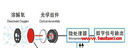 深圳云传物联AMT-PR300在线式溶氧仪