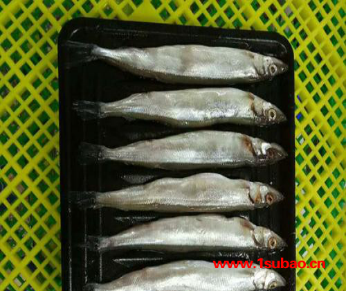 贴体盒 真空包装盒厂家 海鲜包装盒 一次性塑料盒 冷冻盒 保鲜覆膜盒图8