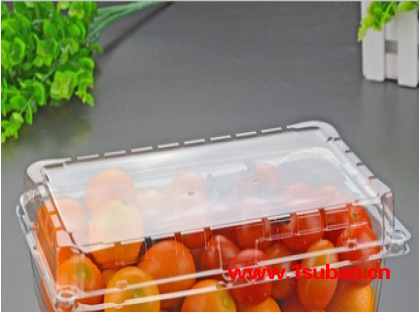 广舟包装定制塑料盒图3