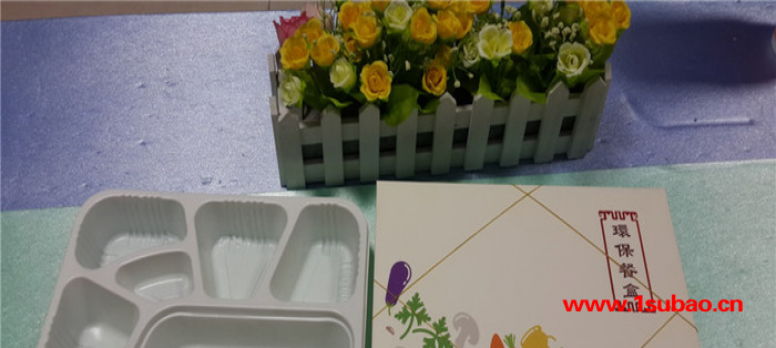 供应鑫泰Syn250*195*36上海一次性快餐盒打包盒塑料盒批发