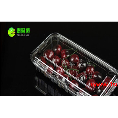 泰聚恒TJH-250c1 蓝莓包装盒 水果透明包装盒 樱桃透明盒 树莓塑料盒 超市专用果蔬塑料盒
