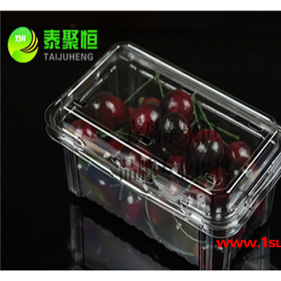 泰聚恒TJH-500B3 水果透明包装盒 冬枣塑料盒 塑料草莓盒子 一次性水果盒 泰聚恒500g水果盒