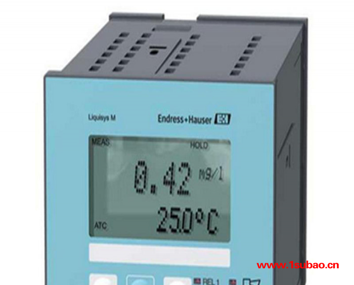 德国E+H/恩德斯豪斯水质分析仪CCM223-EK0005余