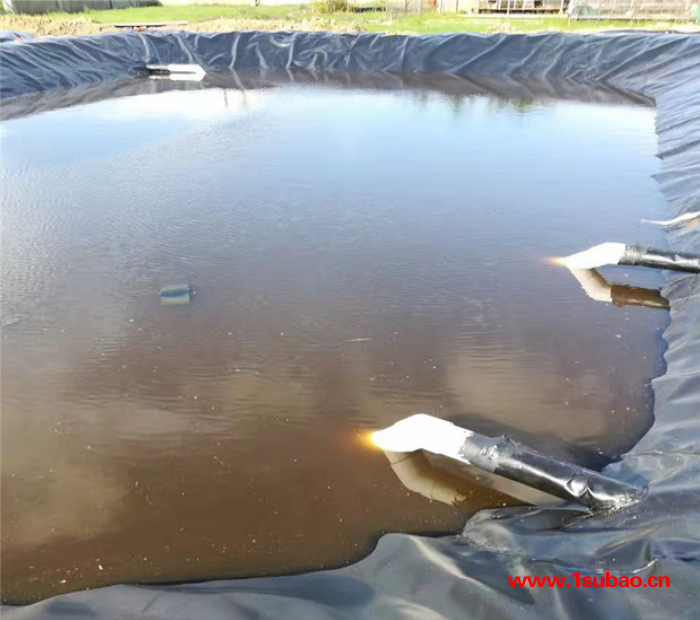 德州农业蓄水池防渗膜,灌溉渠道防渗膜厂家,供应糙面、光面土工膜图7