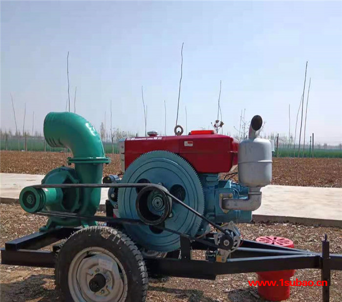 通化农业灌溉消防自吸泵低耗能