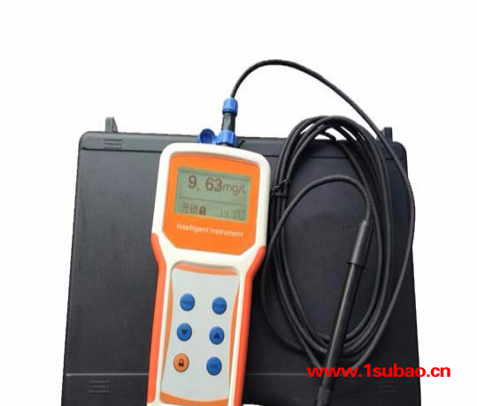 原电池法便携式溶氧仪 DNB-160Y 盐度补偿和增量调整 等级IP57