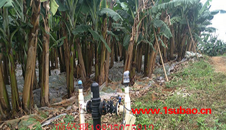 ARKAL3寸 农业灌溉手动过滤器水肥一体化 过滤器