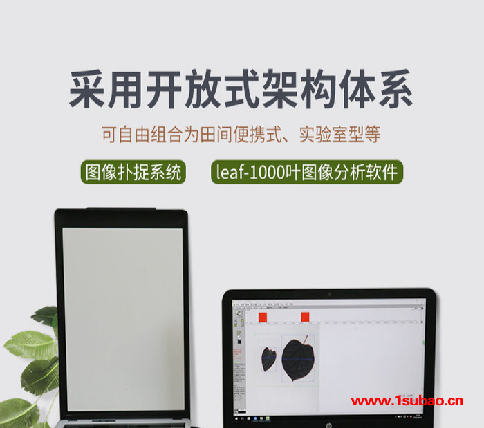 恒美YMJ-S叶面积测量仪便携式叶片图像分析仪图5
