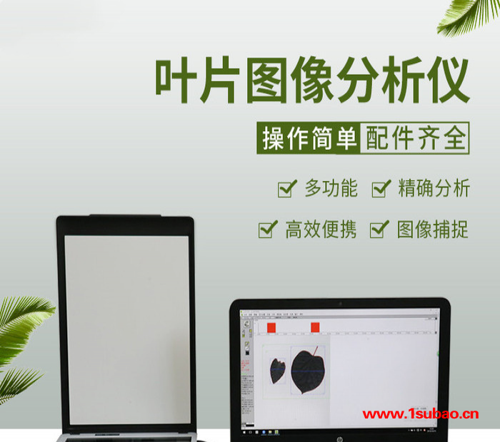 恒美YMJ-S叶面积测量仪便携式叶片图像分析仪图2