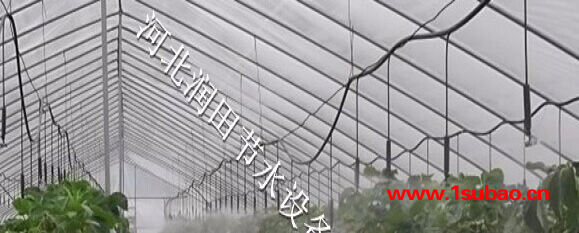 霈泽定兴县平菇吊悬微喷 保定市农业灌溉pe管厂家图4