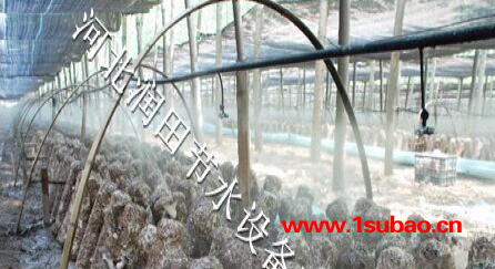 霈泽定兴县平菇吊悬微喷 保定市农业灌溉pe管厂家图6