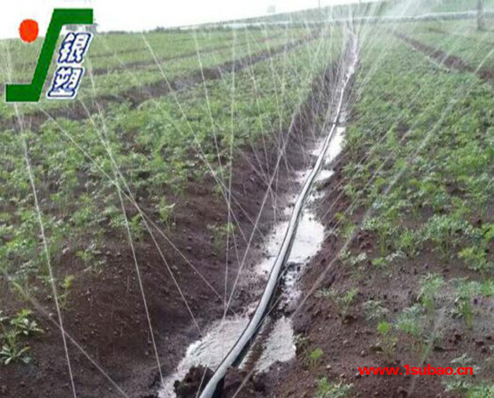 微喷带节水园林农业灌溉用微喷带 喷灌带图2