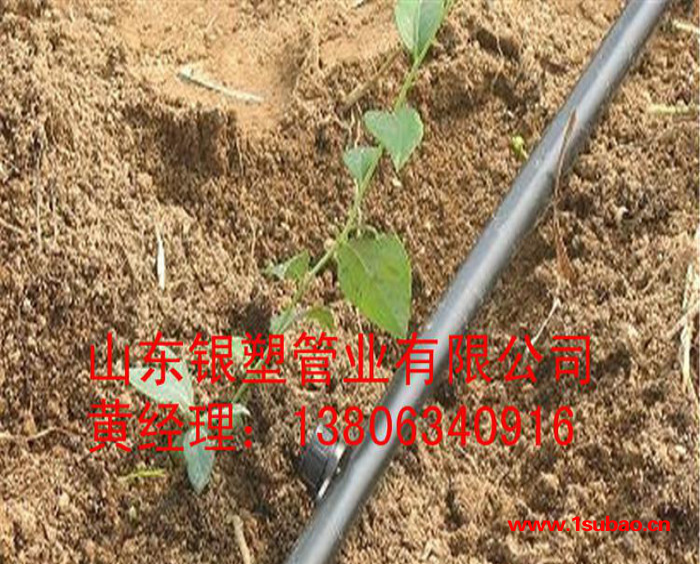 滴灌管 农业灌溉农用滴灌带生产设备花园管生产设备滴灌带园林图3