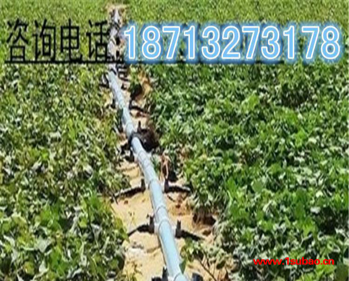 大口径农田灌溉管农业排灌高品质PVC喷灌管农林灌溉管可定制
