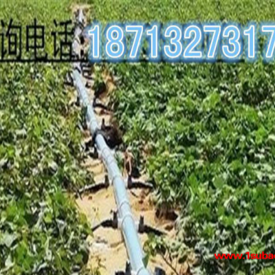 大口径农田灌溉管农业排灌高品质PVC喷灌管农林灌溉管可定制