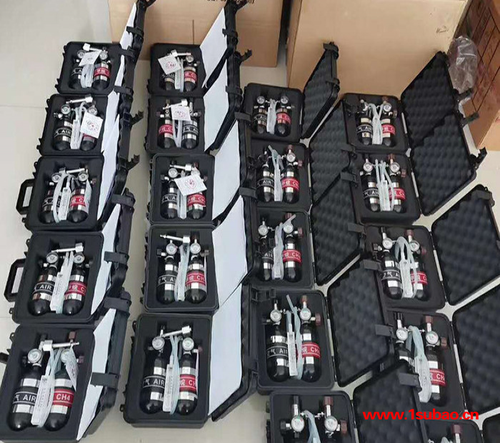批发供应XZJ-4甲烷传感器校验仪煤矿用便携式甲烷传感器图3