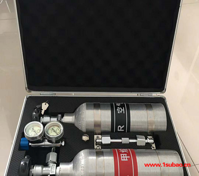 批发供应XZJ-4甲烷传感器校验仪煤矿用便携式甲烷传感器图4