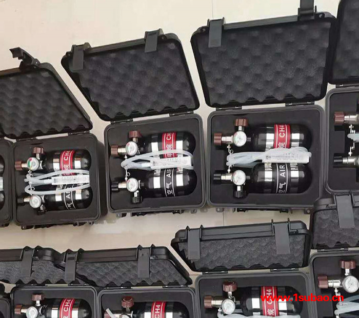 批发供应XZJ-4甲烷传感器校验仪煤矿用便携式甲烷传感器图2