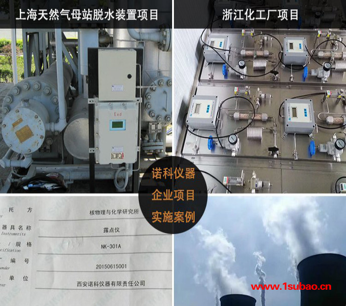 机柜在线式红外气体分析仪 便携式红外气体检测仪 红外线气体分析仪 **红外分析仪诺科仪器NK-501A