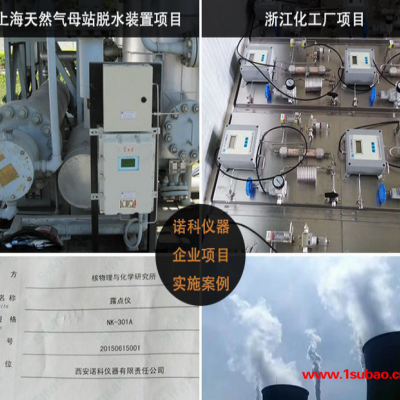 机柜在线式红外气体分析仪 便携式红外气体检测仪 红外线气体分析仪 **红外分析仪诺科仪器NK-501A