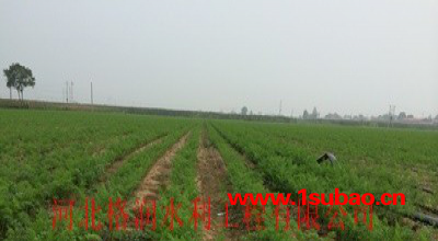 陕西生产厂家农业节水灌溉塑料滴水带 滴灌带