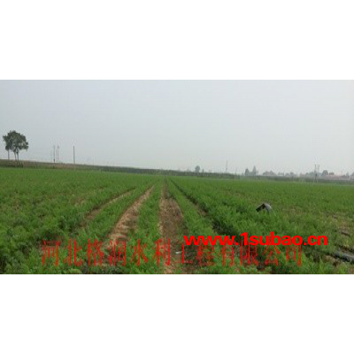 陕西生产厂家农业节水灌溉塑料滴水带 滴灌带